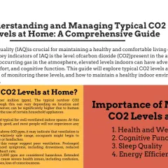 Guía sobre niveles de dióxido de carbono (CO2) en casa. Explica qué es el dióxido de carbono y su impacto en la salud y el bienestar.