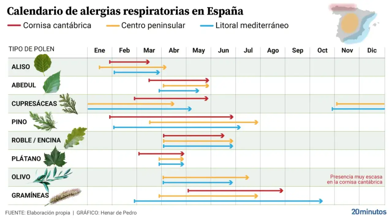 Calendario de alergias en España. Muestra la presencia de polen de aliso, abedul, cupresáceas, pino, roble/encina, plátano, olivo y gramíneas por meses y zonas.
