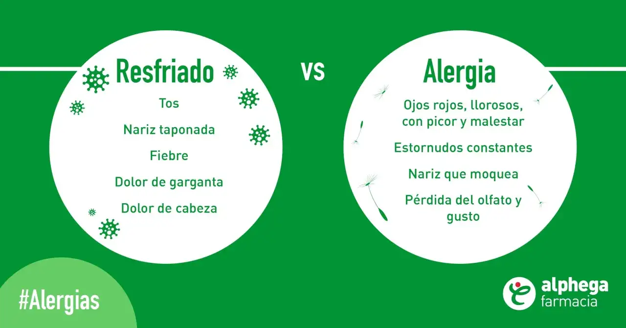 La alergia puede dar fiebre, ojos llorosos y estornudos. El resfriado presenta tos, dolor de garganta y cabeza.