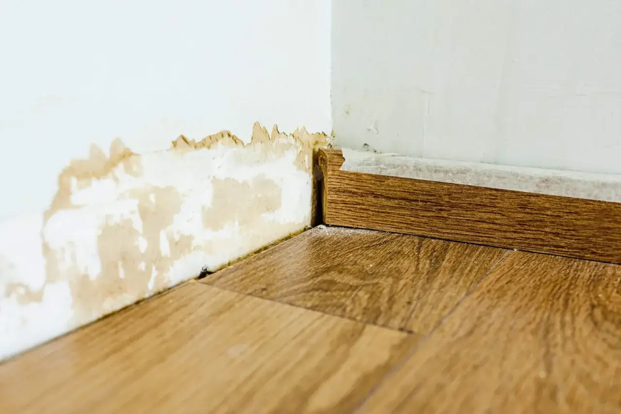 Esquina de pared con humedad y moho, indicando la enfermedad de los edificios. El z&oacute;calo de madera y el suelo laminado est&aacute;n afectados.